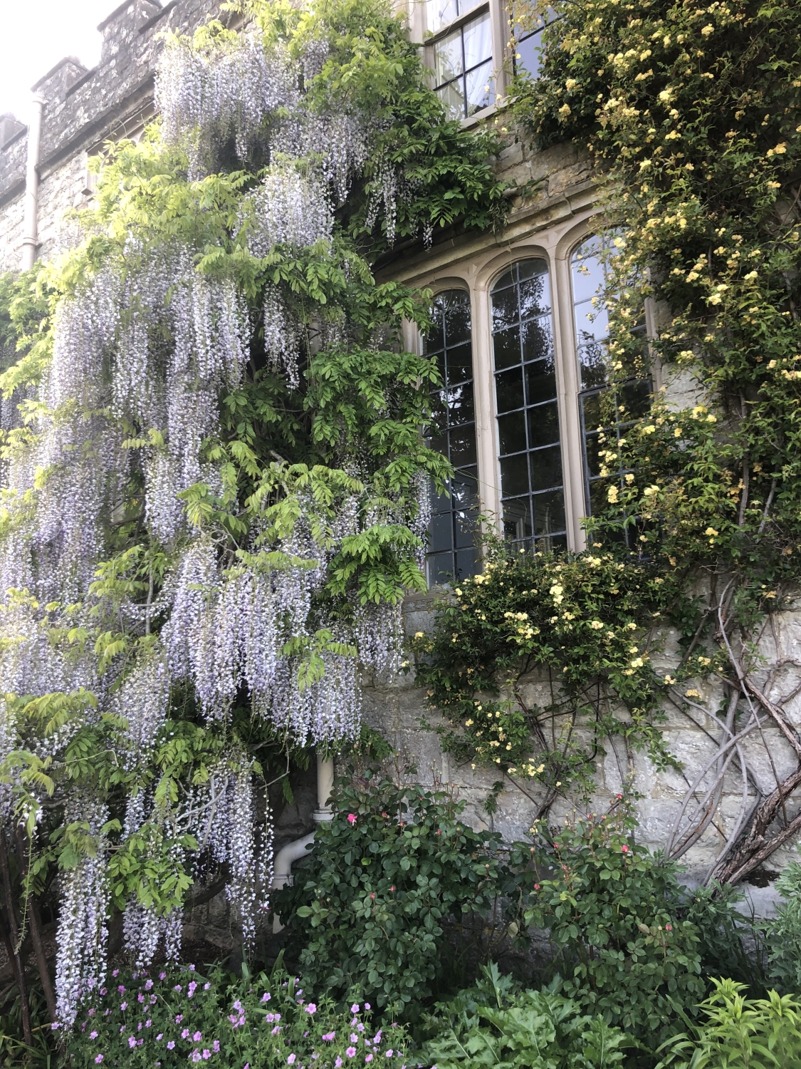 Boughton Monchelsea Place, Maidstone, Kent, ME17 4BU National Garden